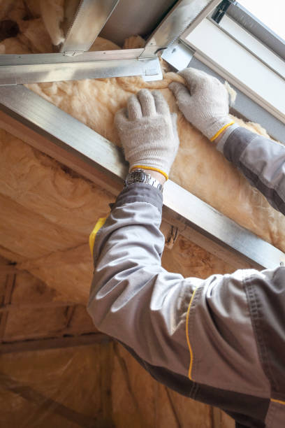 Professional Insulation Contractor in Burke, VA