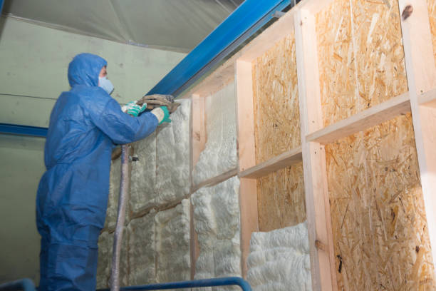 Best Insulation Repair Services  in Burke, VA