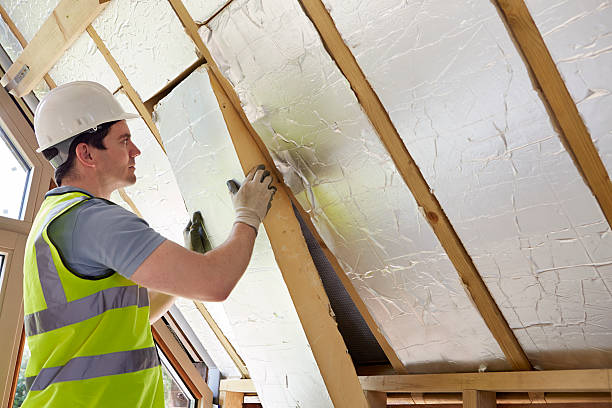 Best Insulation Contractor Near Me  in Burke, VA
