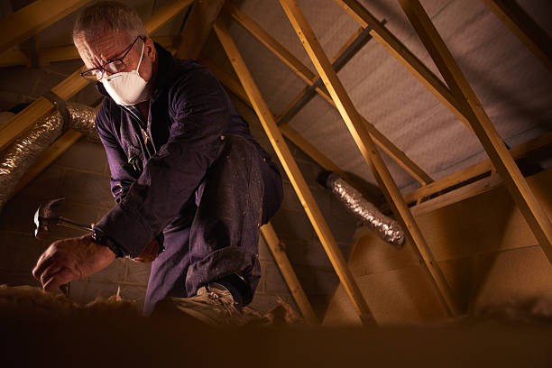 Best Attic Insulation Installation  in Burke, VA